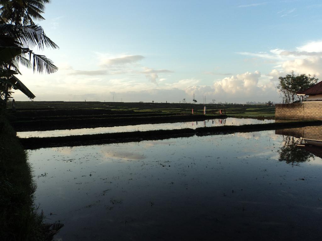 D'Tegale Homestay Cepaka Exterior foto